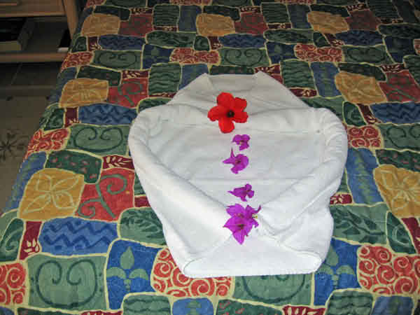 IMG_0104_edited-1